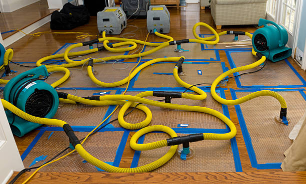 Professional Crawl Space Water Removal technician working in Lattimore, NC